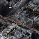 Illustration for article titled These Photos Show The Devastating Aftermath Of The Colorado Wildfires